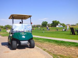 Patio Homes Denver Golf Cart